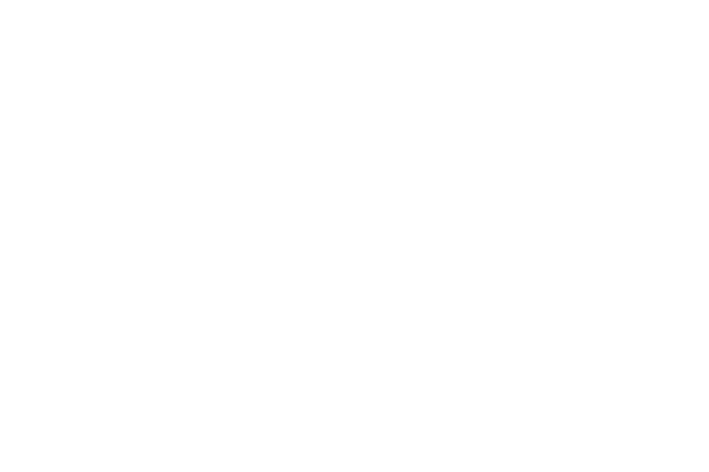 Zees Auto Sales logo